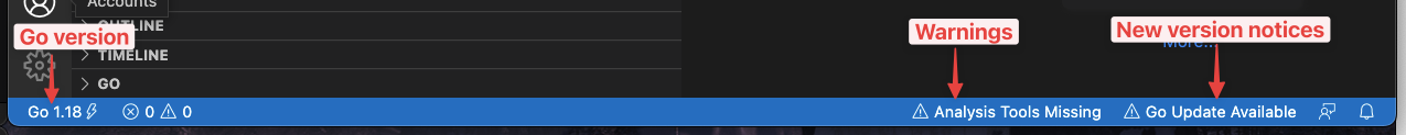 VSCode Go Status